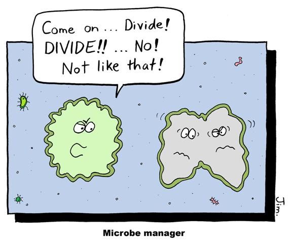 Microscopic